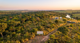 Mato Grosso do Sul registra a menor área desmatada do Brasil nos últimos 7 anos, aponta MapBiomas