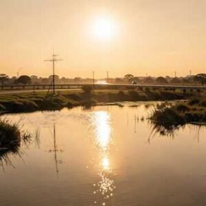 Pantanal registra menor área queimada em 41 anos, mas Corumbá ainda lidera ranking de devastação histórica