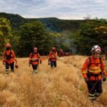 Queima prescrita reduz risco de incêndio no Cerrado de MS