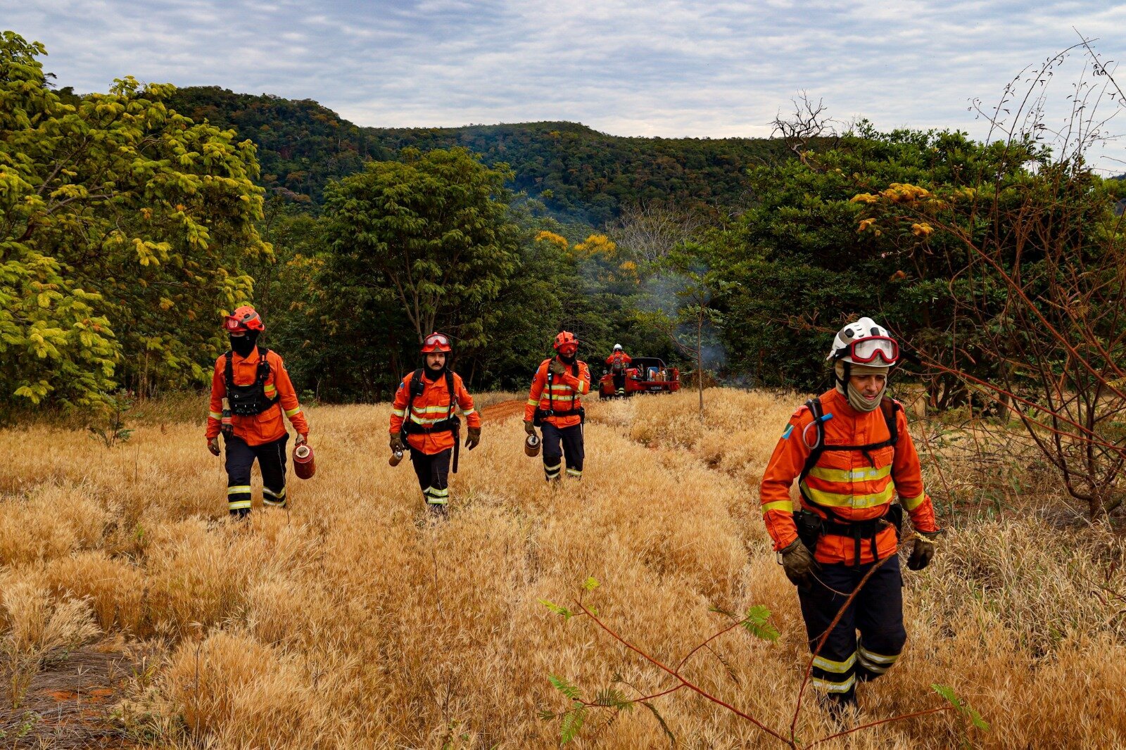 Queima prescrita reduz risco de incêndio no Cerrado de MS