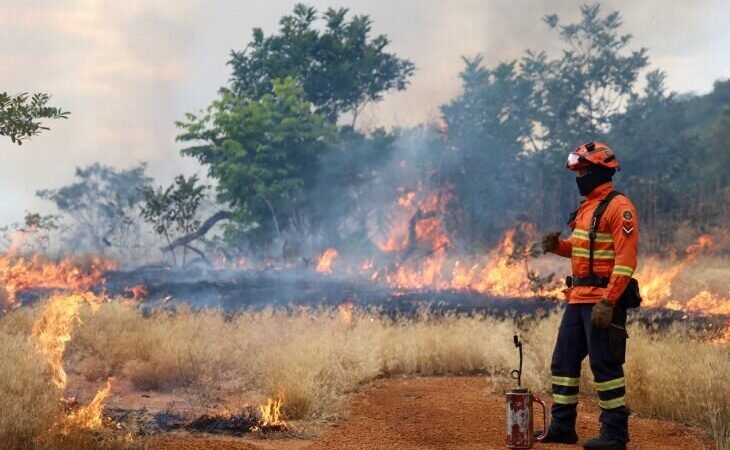CBM-MS faz queima prescrita para evitar incêndios no Cerrado