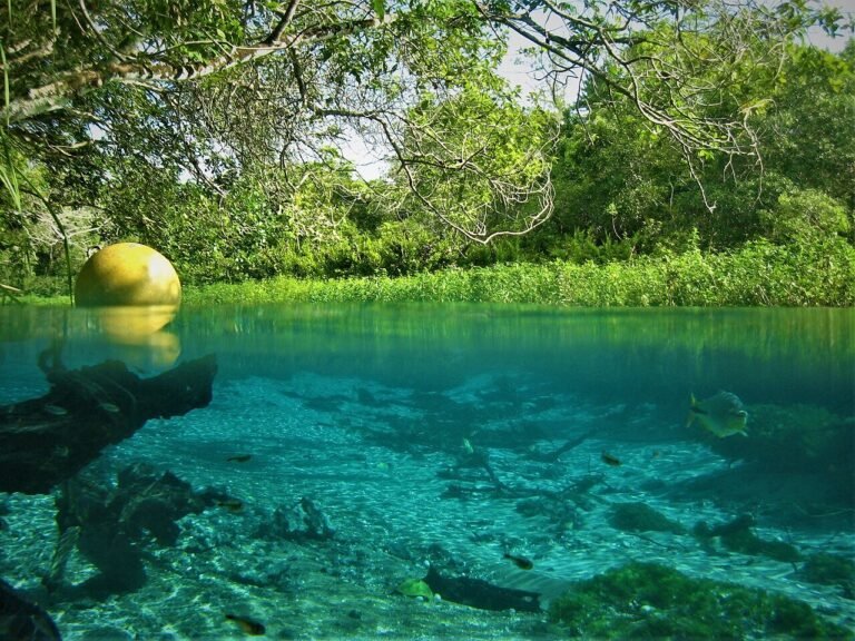 Flutuação no Rio Sucuri