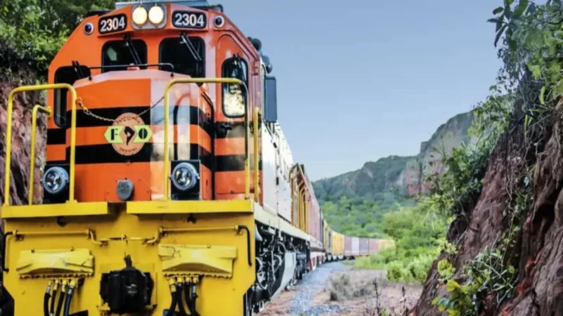Trem da Morte volta a circular após seis anos parado; embarque começa a 11 km de Corumbá