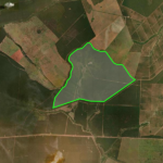 Nova RPPN protege 1.209 hectares de Cerrado com nascentes e 363 espécies em Ribas do Rio Pardo