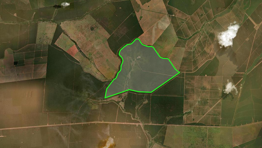 Nova RPPN protege 1.209 hectares de Cerrado com nascentes e 363 espécies em Ribas do Rio Pardo