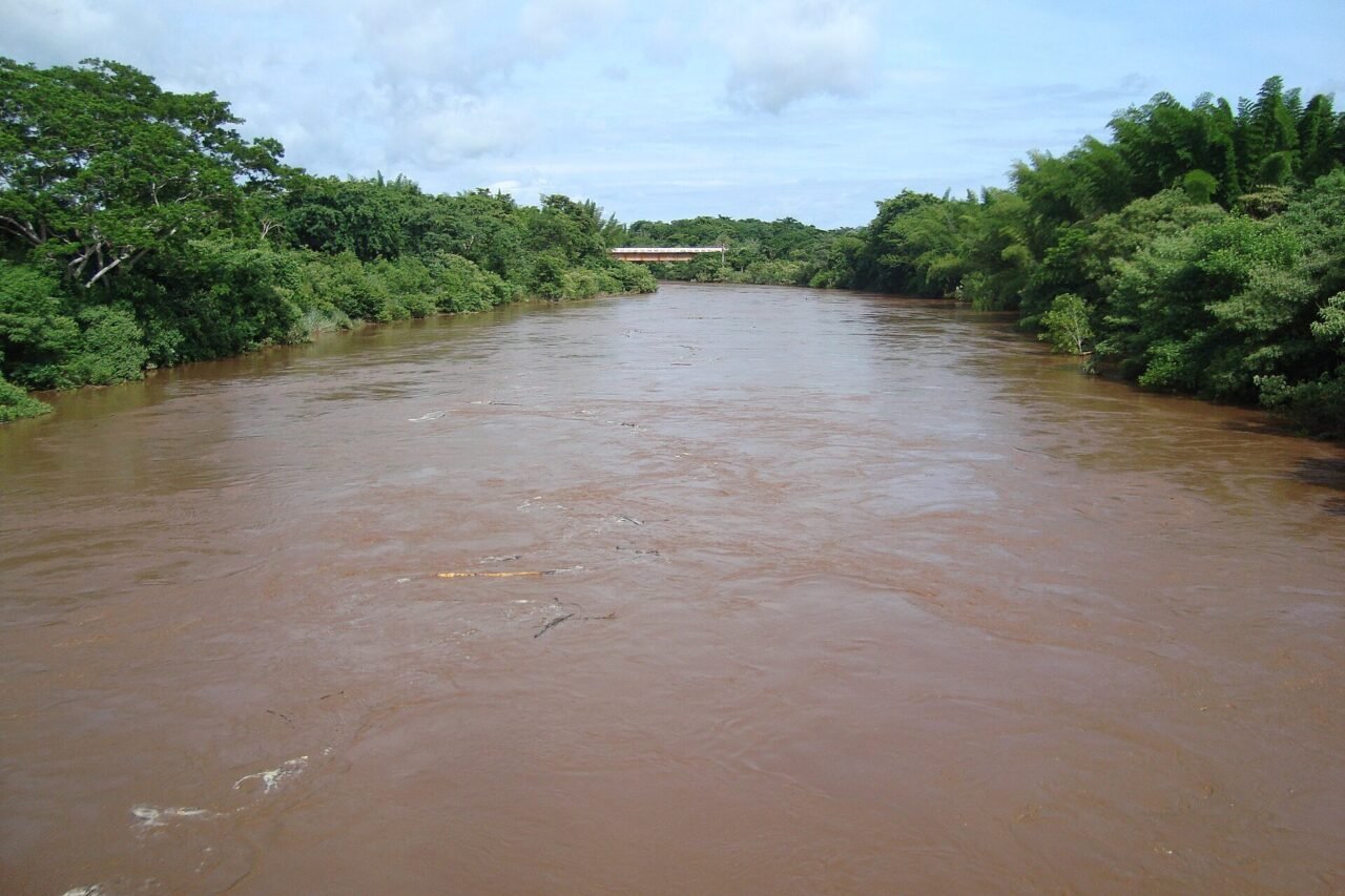 Decoada chega mais cedo ao rio Miranda e pescadores encontram pintados e dourados mortos