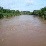 Decoada chega mais cedo ao rio Miranda e pescadores encontram pintados e dourados mortos