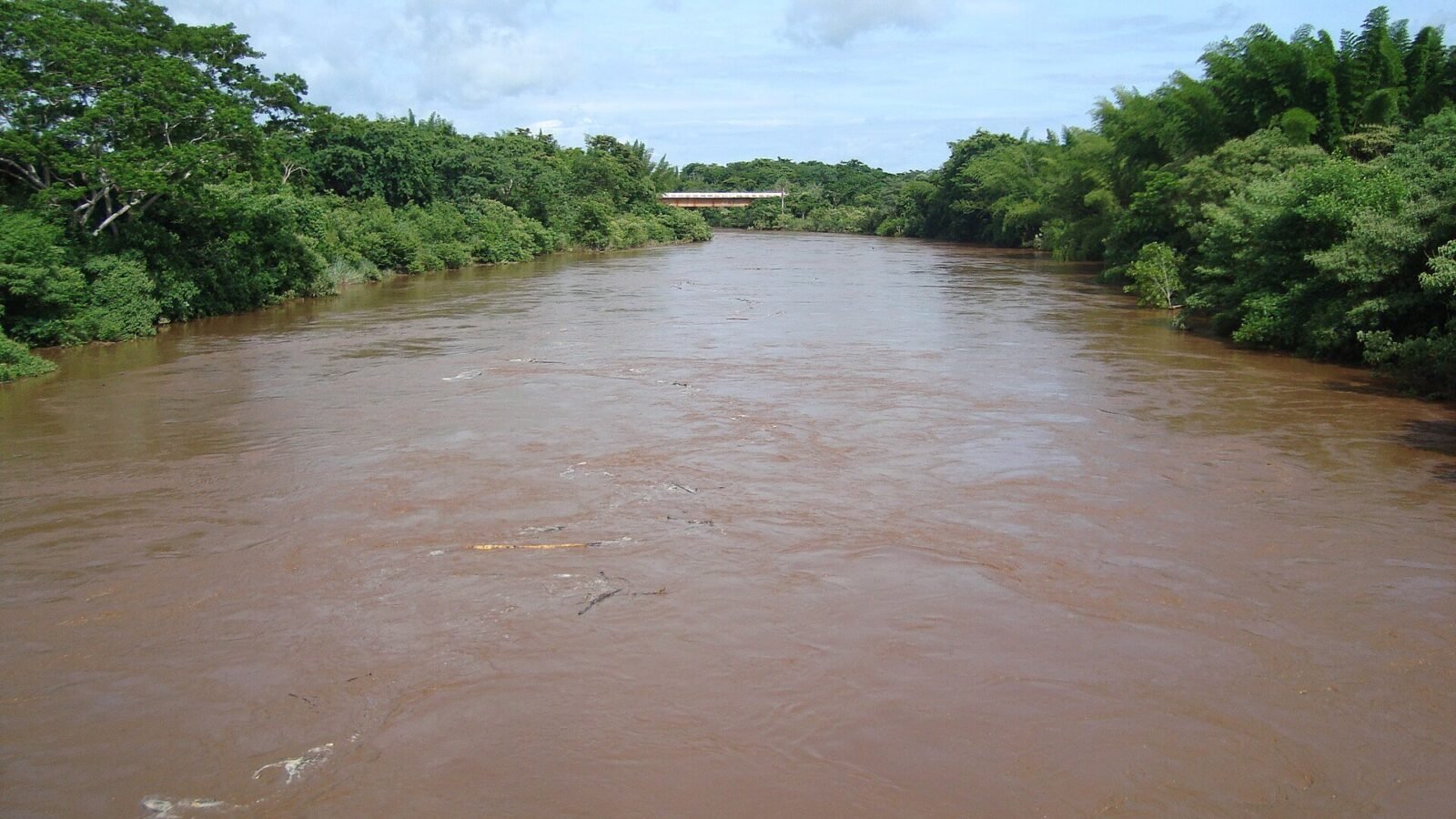 Decoada chega mais cedo ao rio Miranda e pescadores encontram pintados e dourados mortos