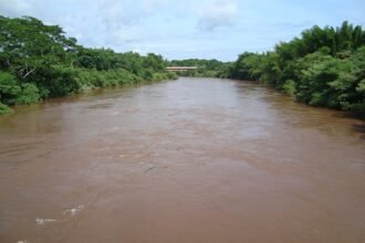 Decoada chega mais cedo ao rio Miranda e pescadores encontram pintados e dourados mortos